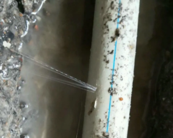 吴桥卫生间测漏水多少钱