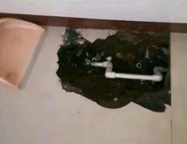 吴桥卫生间测漏水多少钱